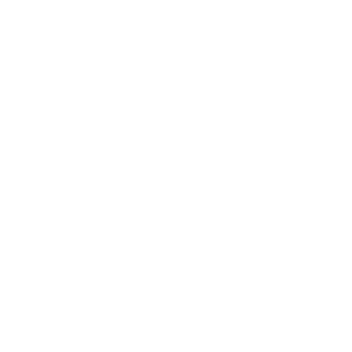 Photography &amp; Video